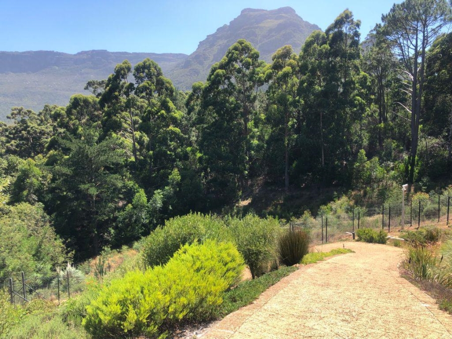 0 Bedroom Property for Sale in Constantia Nek Estate Western Cape